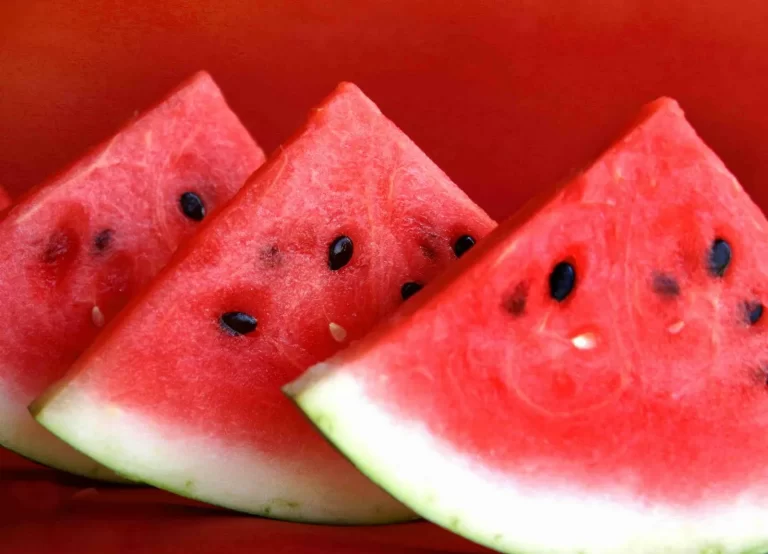 Watermelon-3 (1)