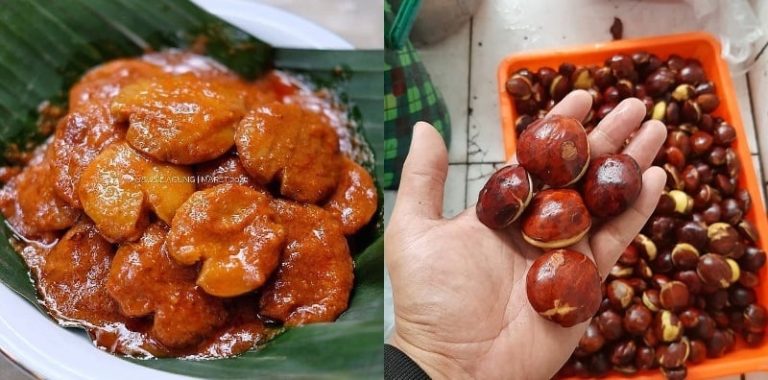 bahaya-jengkol-1