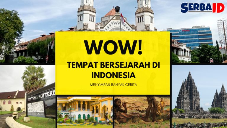 SERBAID
